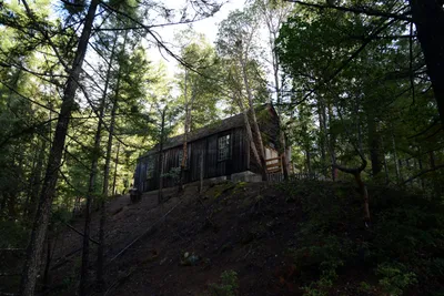 DSC_0921 (Large).JPG